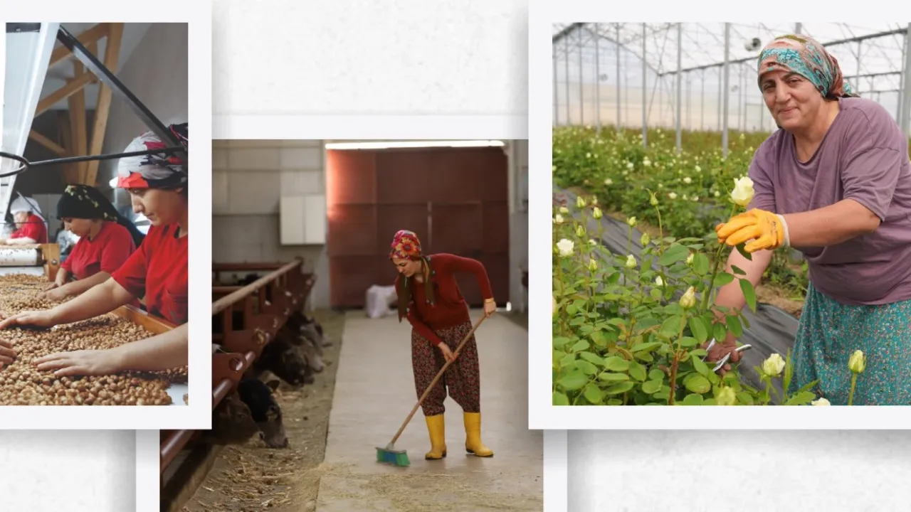 Anadolu toprakları bereketleniyor... IPARD III 5 farklı kategoride can suyu olacak