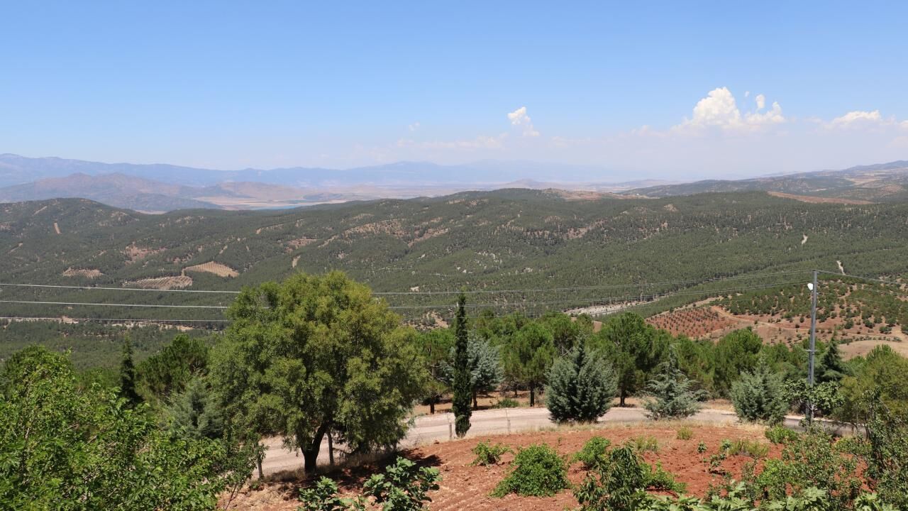 Kilis'te ormanlık alanlara giriş yasaklandı