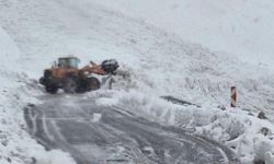 ŞırnakHakkari yolunda çığ: 40 yolcu mahsur kaldı