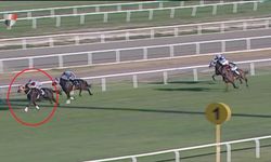 Yarış atı kavurma yapılan iş insanına da 132 bin TL ceza kesildi