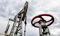 Hindistan 7 sonra İran'dan petrol aldı