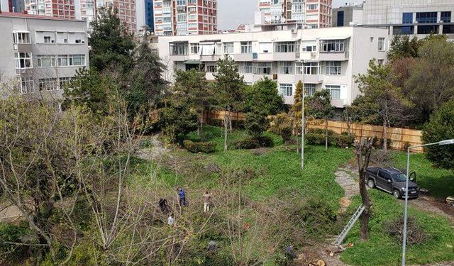 O ARSAYA KONUT YAPILACAK