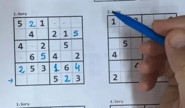 Unutkanlığa karşı bulmaca yerine sudoku çözün!