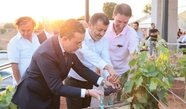 Çal Bağbozumu Festivali kültürle renklendi