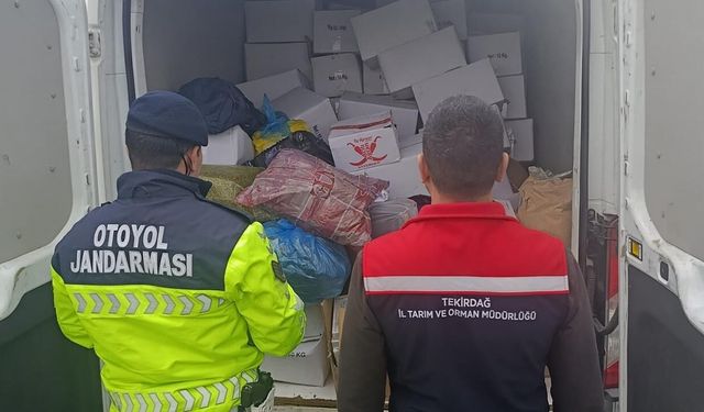 Baklavada kullanılacak 2 ton sağlıksız fıstık imha edildi