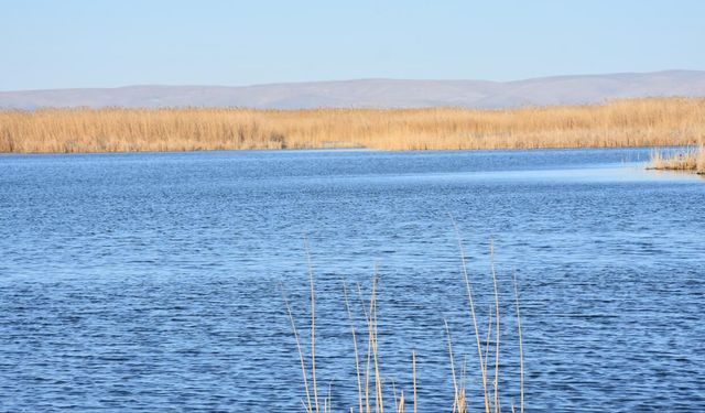 Eber Gölü'nün korunması için koordinasyon ekibi oluşturulacak