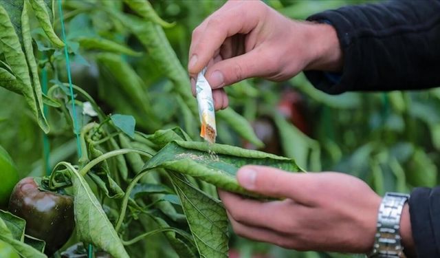 Orman zararlılarıyla mücadelede 1 milyondan fazla faydalı organizma üretildi