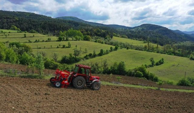 Tarım sezonunun ilk 4 ayında yağışlar yüzde 38 arttı