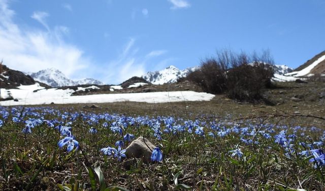 Türkiye'de, son 56 yılın en sıcak 3'üncü şubat ayı yaşandı