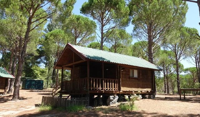 210 milyon dolandıran bungalov çetesine operasyon: 9 tutuklama