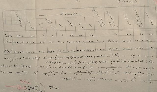 Çanakkale Savaşları'nda 111 yıl sonra gün yüzüne çıkan belge