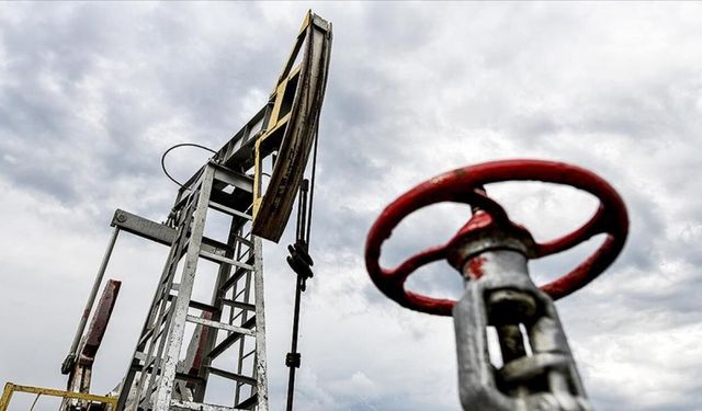 Hindistan 7 sonra İran'dan petrol aldı