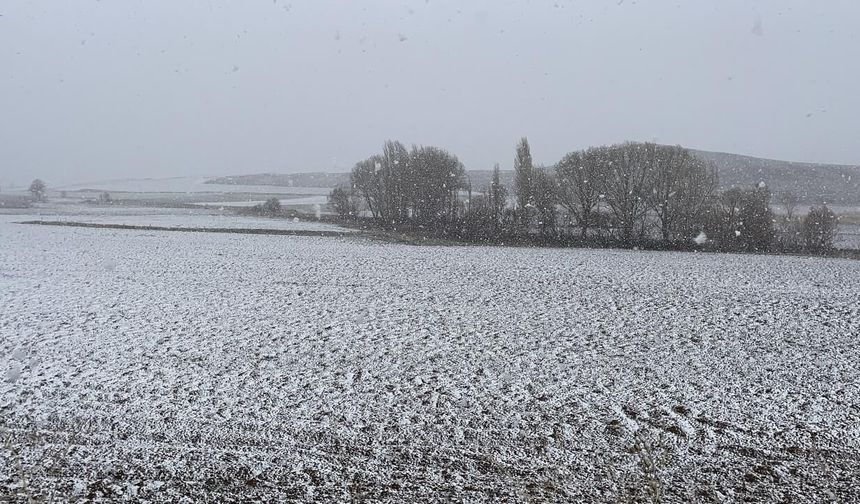 Bazı illerde kar etkili oldu