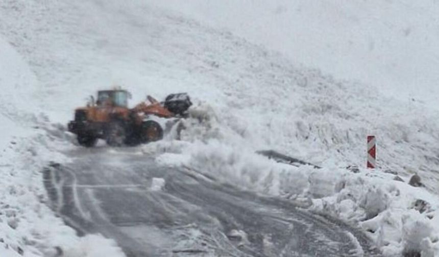 Şırnak Hakkari yolunda çığ: 40 yolcu mahsur kaldı