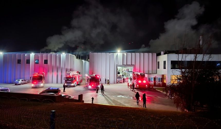 Tekirdağ'da fabrikada yangın