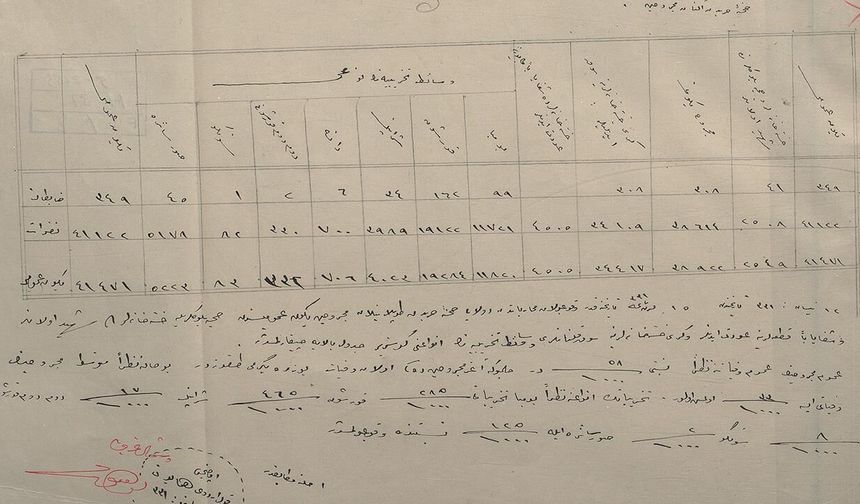 Çanakkale Savaşları'nda 111 yıl sonra gün yüzüne çıkan belge