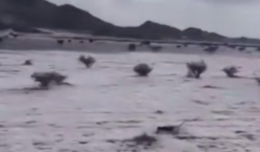 Suudi Arabistanda çöller dolu yağışıyla beyaza büründü