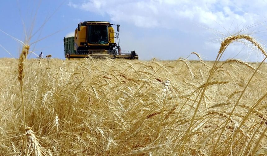 Tarımsal destekleme ödemesi bugün yapılacak