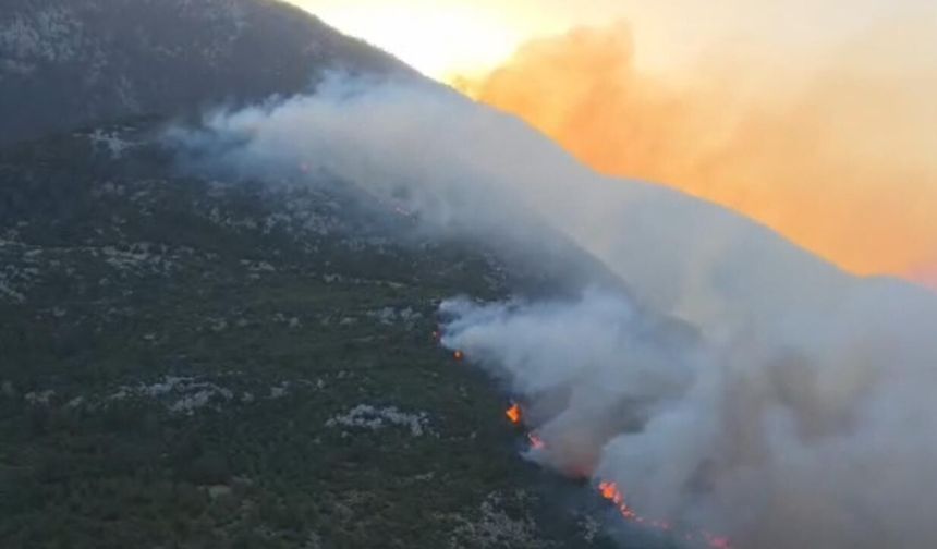 Kaş'ta orman yangınına havadan ve karadan müdahale