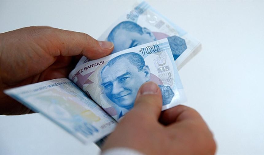 Sosyal ve Ekonomik Destek ödemeleri hesaplara yatırıldı