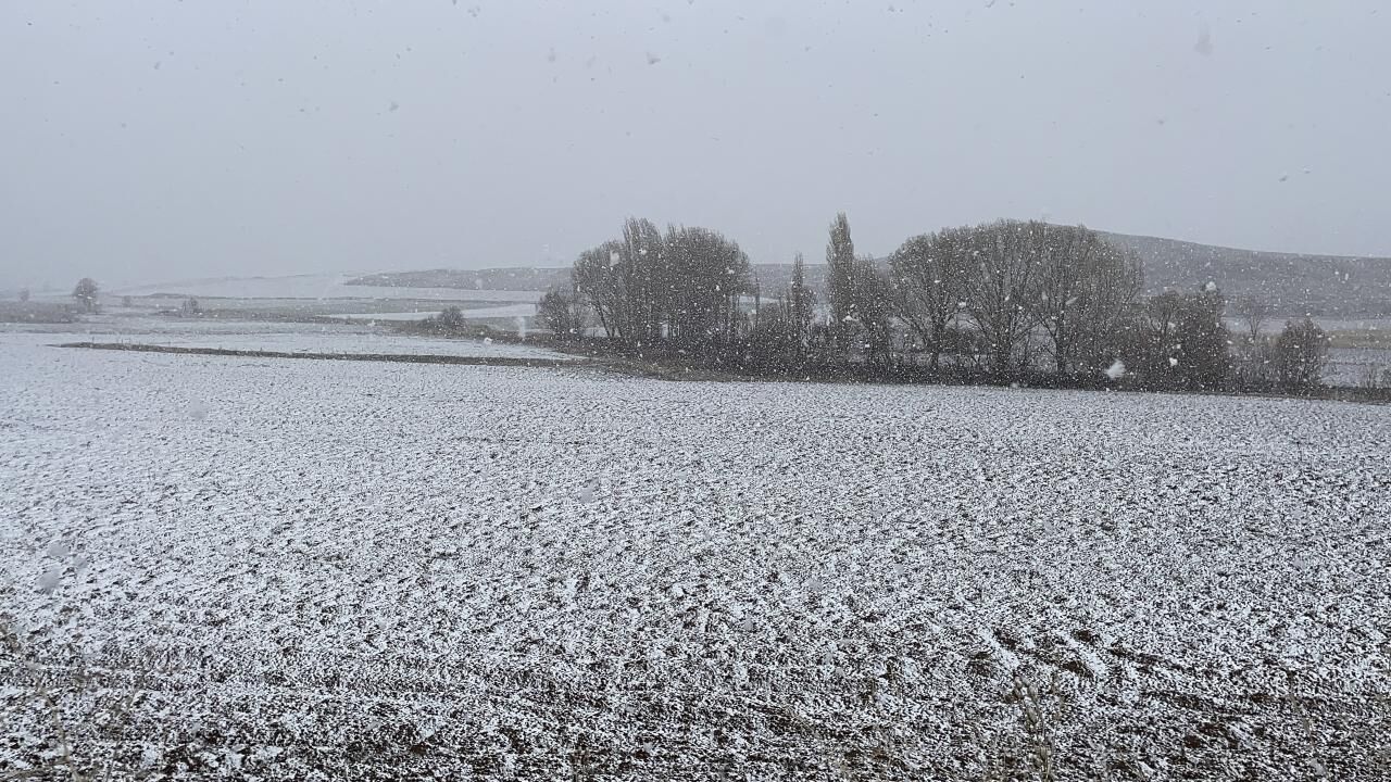 Bazı illerde kar etkili oldu